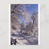 Winter Postkarte (Vorderseite)