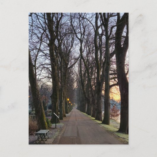 Winter Postkarte (Vorderseite)
