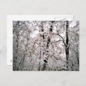 Winter Postkarte (Vorne/Hinten)