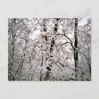 Winter Postkarte