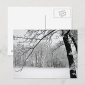 Winter Postkarte (Vorne/Hinten)