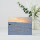 Winter Postkarte (Stehend Vorderseite)