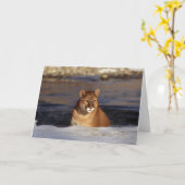 Winter-Puma Karte (Gelbe Blume)