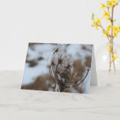 Winter Queen Anne's Lace Karte (Gelbe Blume)