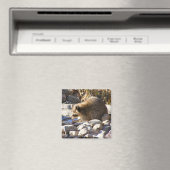 Winter Raccoon ~ Magnet (In Situ (Geschirrspüler))