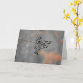 Winter Rain, card Karte (Gelbe Blume)