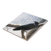 Winter Raven Fliese (Seite)