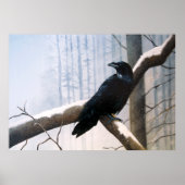 Winter Raven Forest Poster (Vorne)