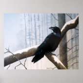 Winter Raven Forest Poster (Vorne)