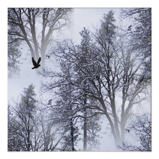 Winter Raven... Poster (Vorderseite)