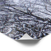Winter Raven... Poster (Ecke)