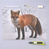 Winter Red Fox Seidenpapier (Handwerk)