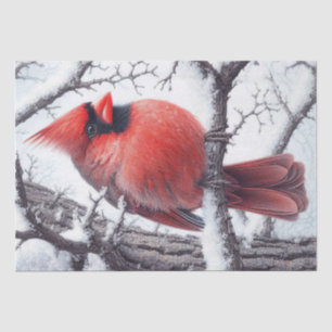 Winter Red Kardinal Bird Seidenpapier