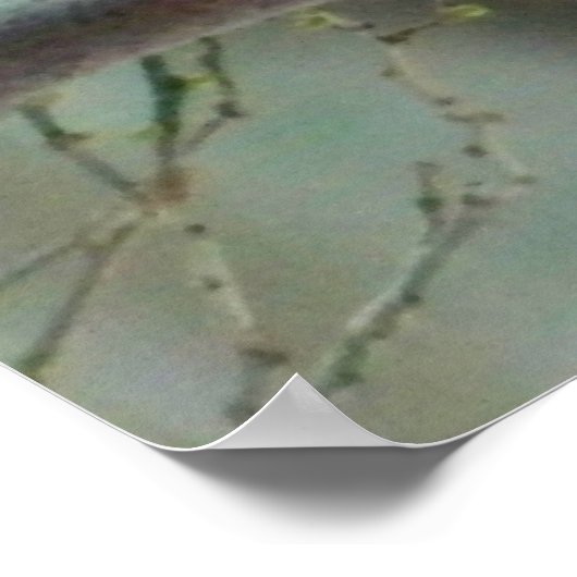 Winter Red Kardinal Poster (Ecke)