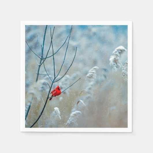 Winter Red Kardinal Snow Foto Serviette (Vorderseite)