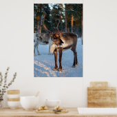 Winter Rentier Snowing Berg Hübsche Landschaft Poster (Küche)
