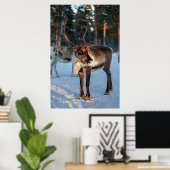 Winter Rentier Snowing Berg Hübsche Landschaft Poster (Heimbüro)