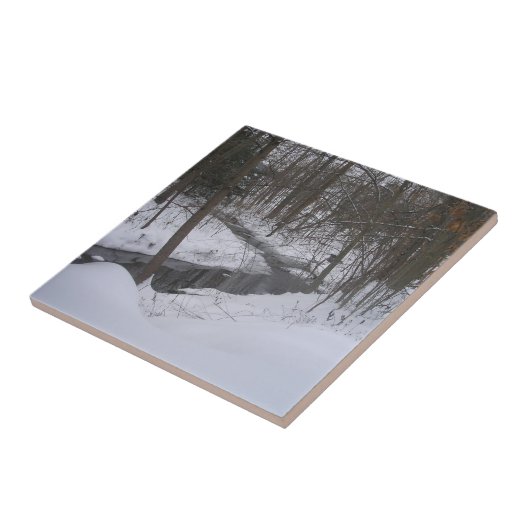 "Winter Ribbon" Fliese (Seite)