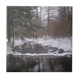 'Winter River' Fliese