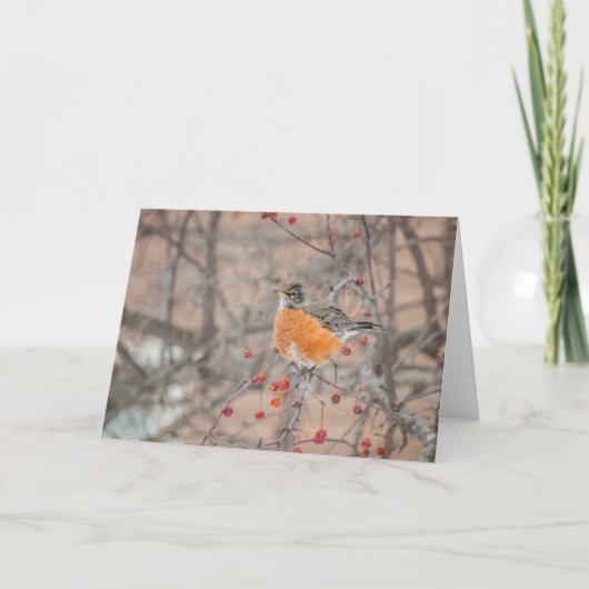 Winter Robin 1 Karte (Vorderseite)