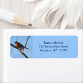 Winter Robin Animal Address Label (Insitu)