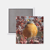Winter Robin Magnet (Vorderseite/Rückseite)