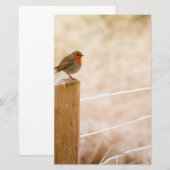 Winter Robin RedBrust Briefpapier (Vorne/Hinten)
