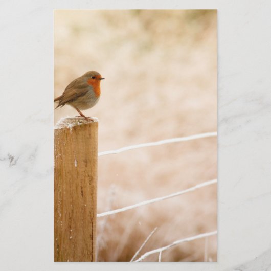 Winter Robin RedBrust Briefpapier (Vorderseite)