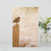 Winter Robin RedBrust Briefpapier (Stehend Vorderseite)