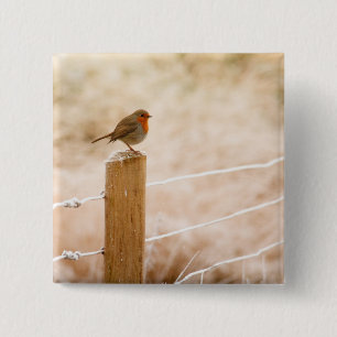 Winter Robin RedBrust Button