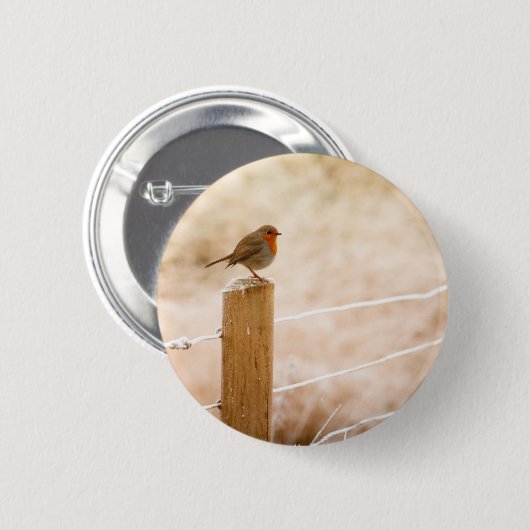 Winter Robin RedBrust Button (Vorne & Hinten)