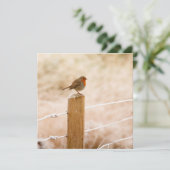 Winter Robin RedBrust Karte (Stehend Vorderseite)