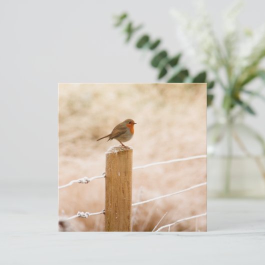 Winter Robin RedBrust Karte (Stehend Vorderseite)