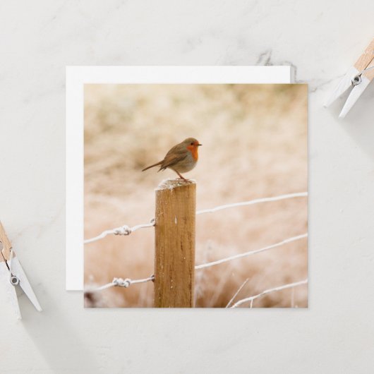 Winter Robin RedBrust Karte (Vorderseite/Rückseite Beispiel)