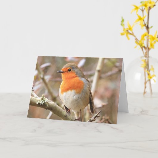 Winter Robin RedBrust Karte (Gelbe Blume)