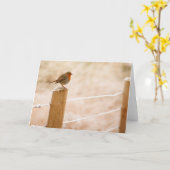 Winter Robin RedBrust Karte (Gelbe Blume)