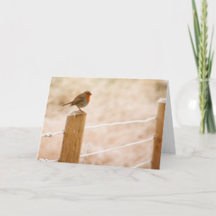 Winter Robin RedBrust Karte
