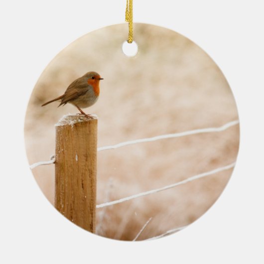 Winter Robin RedBrust Keramik Ornament (Hinten)