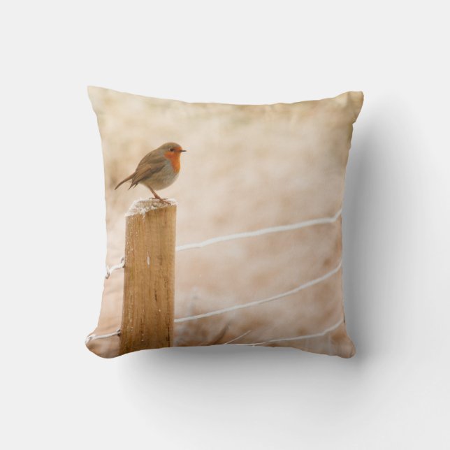 Winter Robin RedBrust Kissen (Vorderseite)