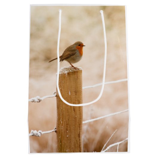 Winter Robin RedBrust Mittlere Geschenktüte (Rückseite)