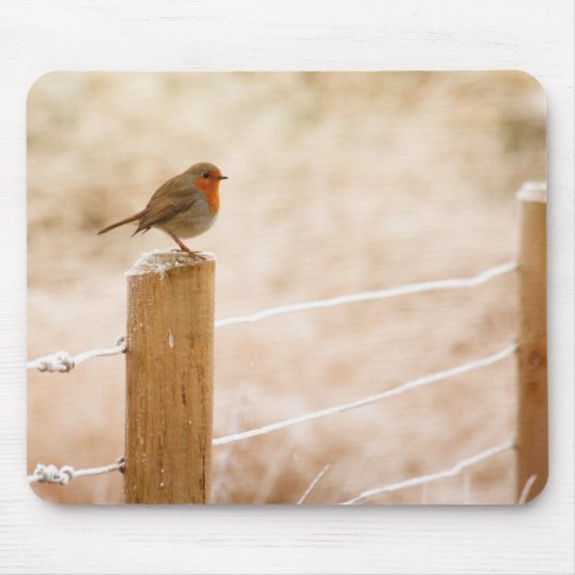 Winter Robin RedBrust Mousepad (Vorne)
