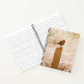 Winter Robin RedBrust Notizblock (Innenseite)