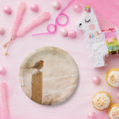 Winter Robin RedBrust Pappteller (Party)