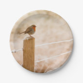 Winter Robin RedBrust Pappteller (Vorderseite)