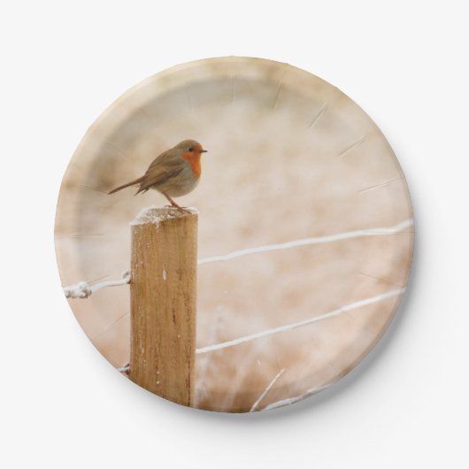 Winter Robin RedBrust Pappteller (Vorderseite)