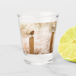Winter Robin RedBrust Schnapsglas
