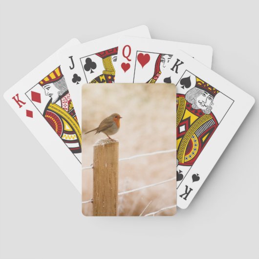 Winter Robin RedBrust Spielkarten (Rückseite)