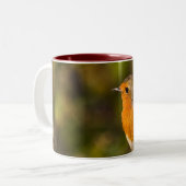 Winter-Robin-Tasse Zweifarbige Tasse (Vorderseite Links)