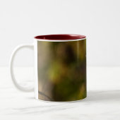 Winter-Robin-Tasse Zweifarbige Tasse (Links)