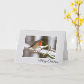 Winter Robin Weihnachtskarte Karte (Gelbe Blume)